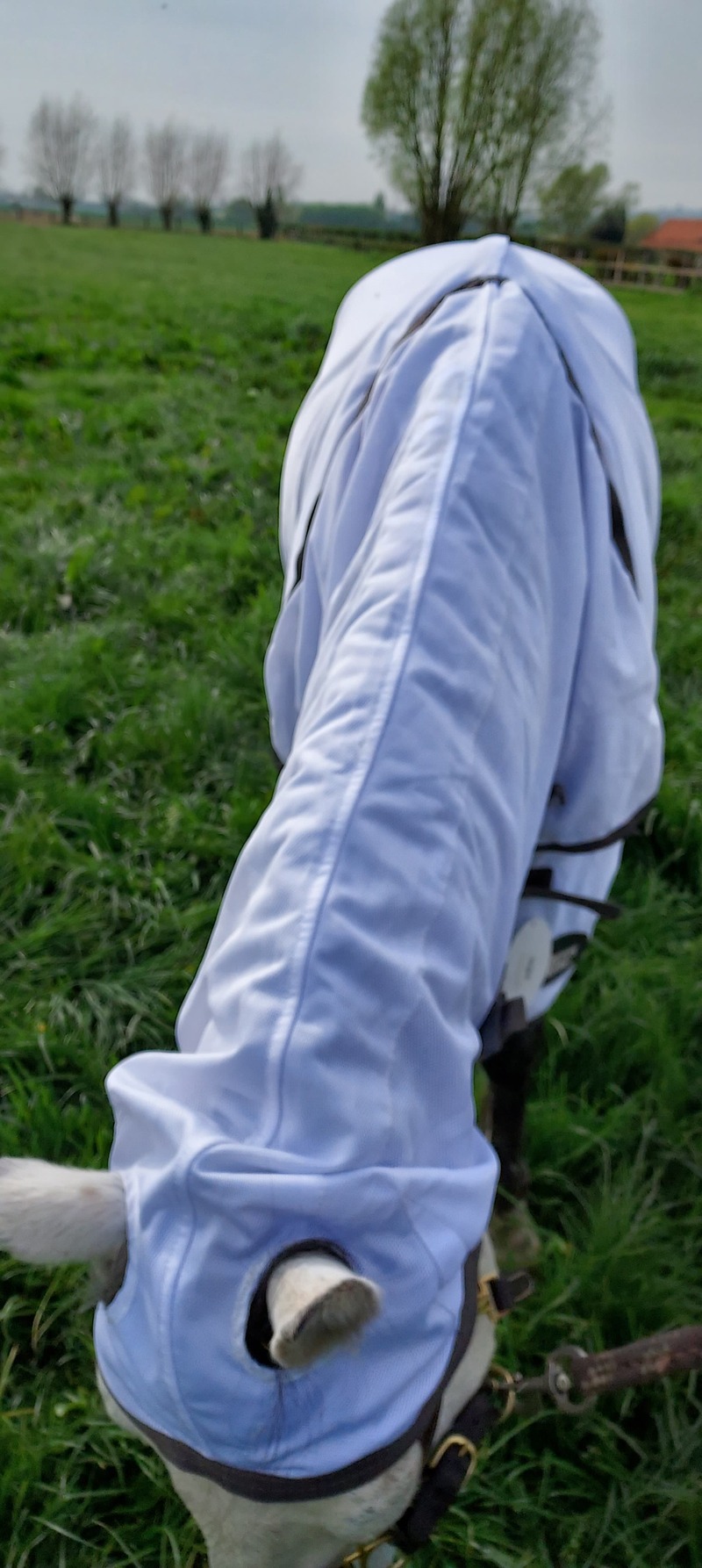destock horse chemise anti mouches integrale harry's horse dessus encolure