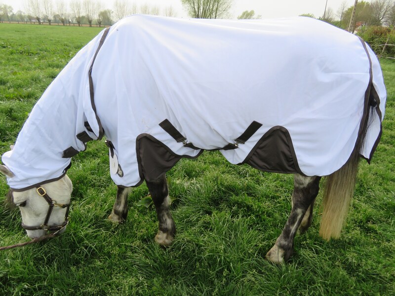 destock horse chemise anti mouches integrale harry's horse gauche