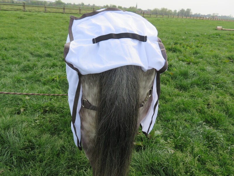 destock horse chemise anti mouches integrale harry's horse rabat de queue